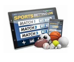 Discover the Exciting Features of Betwinner CM Platform