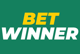Experience the Thrill of BetWinner Online Casino
