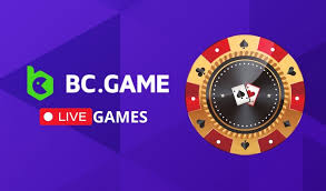 Understanding BC.Game Payment Process A Comprehensive Guide