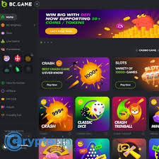 Understanding BC.Game Payment Process A Comprehensive Guide